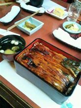 幻のうなぎ！大井川共水♪