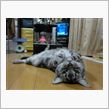 冷えるネェ～(&gt;_&amp;lt;)