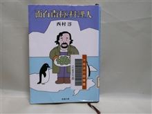 南極