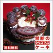 禁断のクリスマスケーキ
