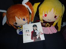 水樹奈々さんのCD初購入