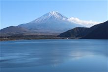 放し飼い業務、山梨へ! 放し飼い業務、山梨へ!