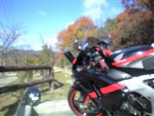 喜寿のお祝い♪