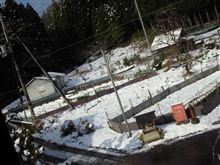 ラジドリボディ塗装＆初雪なう、そして・・・（・∀・）ﾆﾔﾆﾔ
