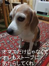 結構~流れてるわ w 結構~流れてるわ w