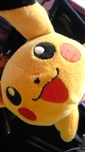ぴか～♪