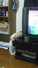 テレビ取材･･･(=^・д・=)ノ゛