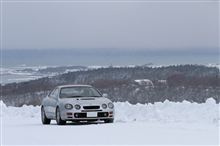 雪の上のセリカ