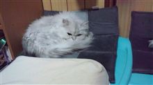 新たなる挑戦　第２章～