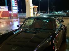雨で雪が溶けたので♪