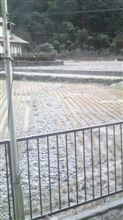 粉雪