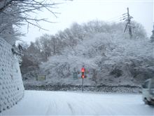 花脊峠から下りへ。