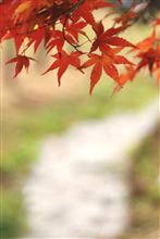 冬の日の散歩