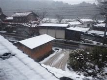 生存情報