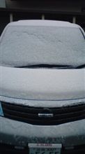 一日雪ですわぁ