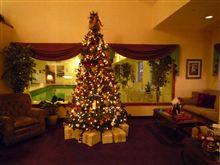 本場のクリスマス・ツリー