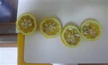 ほっこりと・・・(๑˙︶˙๑)