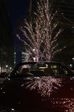 クリスマスイブイブ2011　ナイトオープン決行です♪