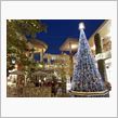 Merry Christma ...