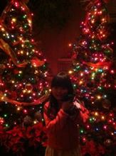 Merry Christmas! 