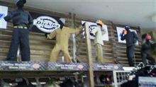 DICKIES