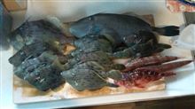 【釣行紀】カワハギ 【釣行紀】カワハギ