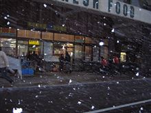 吹雪いてますが・・・　買い物へ～