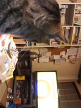 イブですが…