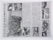 掲載