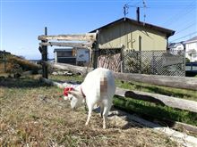 この道はいつか来た道