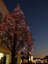 Merry christmas !!