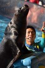 新江ノ島水族館④