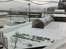 White Xmas♪