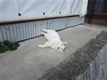 秘蔵写真