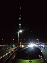 ツリー見物