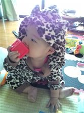 激寒すぎますね(((・・;)