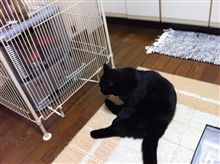 室温が上がらない…