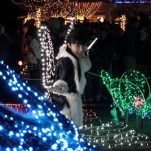 イルミネーション・フラワー・ガーデン　ひかりのはなぞの 2011→2012