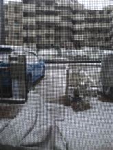 朝起きたら．．．
