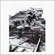 雪ぃ～！！（鈴鹿スカイライン ...
