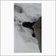 東京のリーマン、雪道を革靴で ...