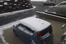 朝から雪が
