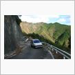 本山谷平井林道（木守平井林道 ...