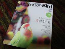 『Companion Bird No.16』 『Companion Bird No.16』
