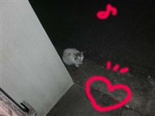困った○はお互い様(^▽^;)