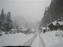 ドカッ！っとは降らない雪な今冬。