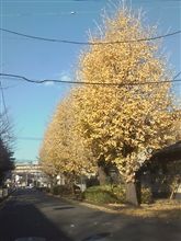 12月24日の光景