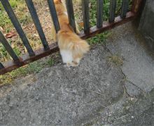 お尻が大きいから…