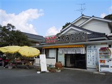 さくら（南伊豆　松崎町）