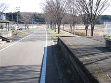 つくばりんりんロード